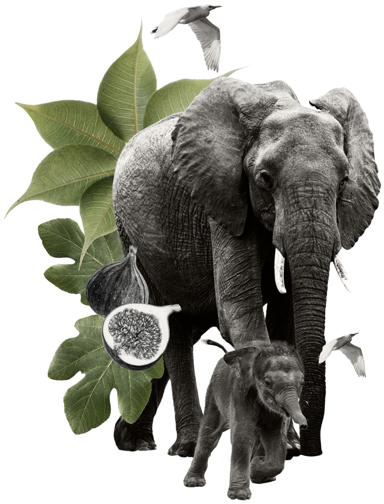 what-is-nature-positive