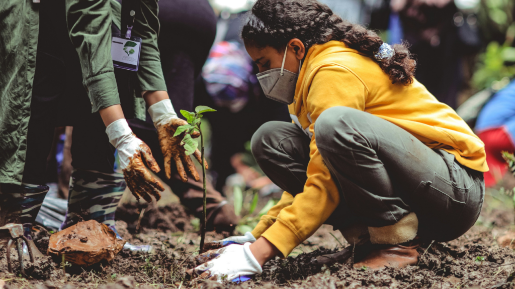 Planting trees - c.Eyoel Kahssay