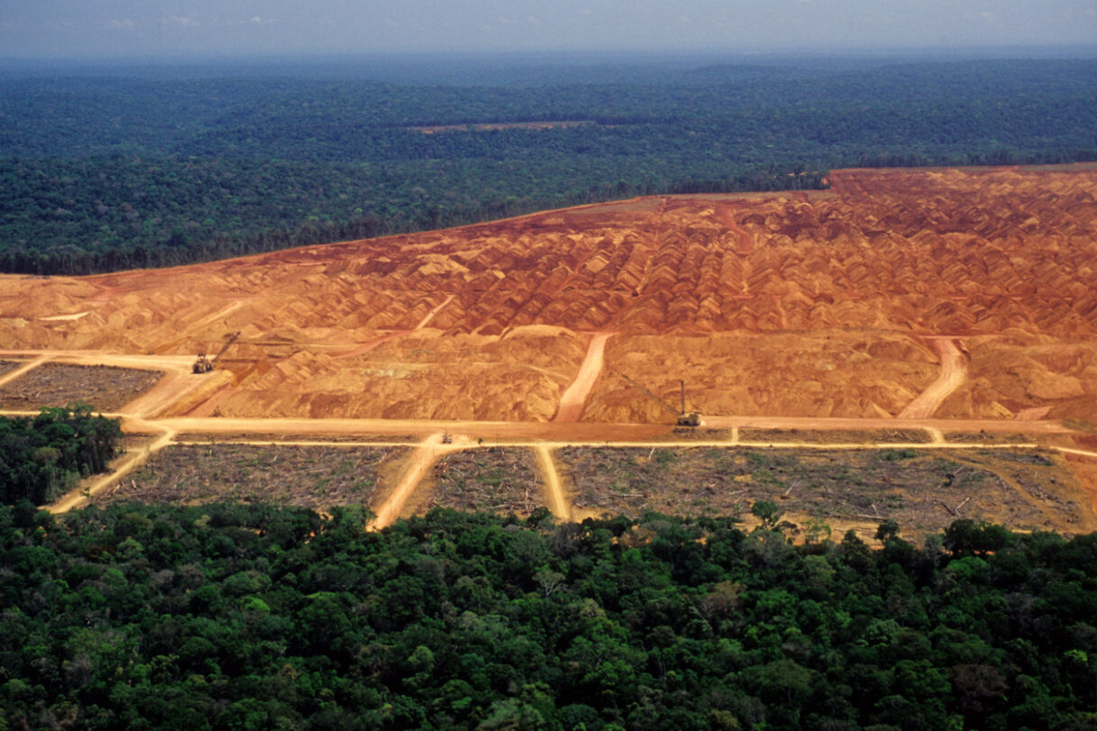 An industry in the middle of the Amazon