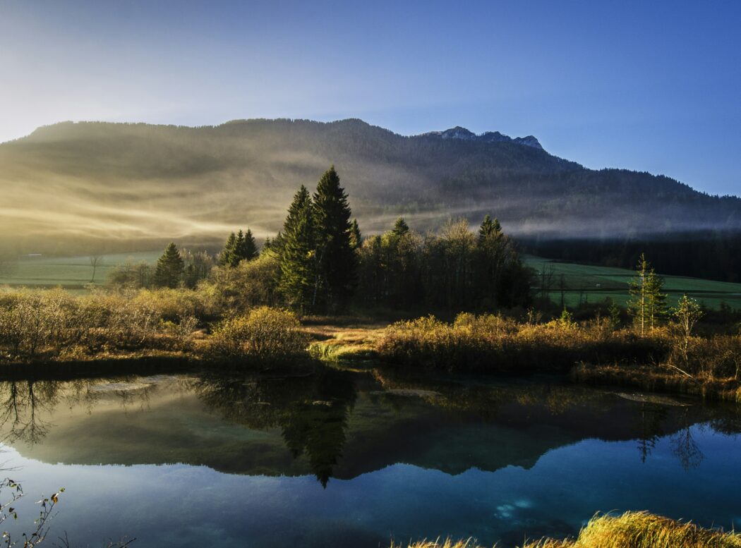 Landscape across lake and forest