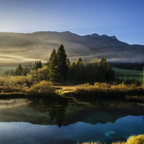 Landscape across lake and forest