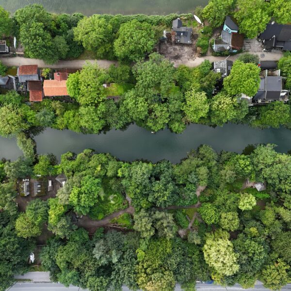 Forest and dwellings by a river c. Frederik Wordenskjold