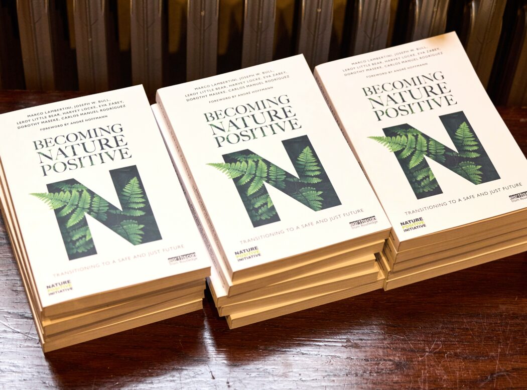 Becoming Nature Positive - stacks of books c. Harvey Williams-Fairley