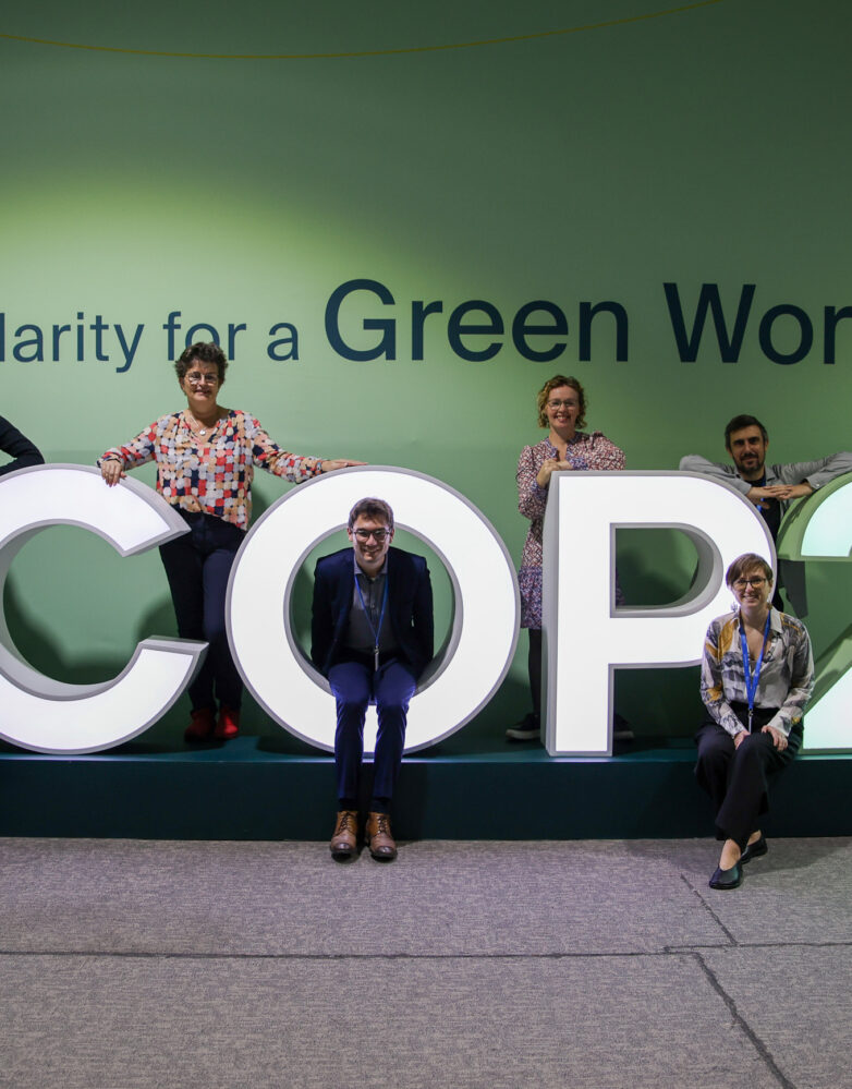 UNFCCC-COP29-3382 c. IISD ENB Mike Muzurakis