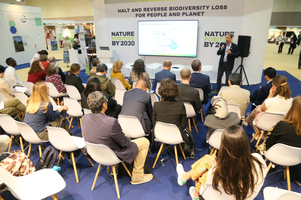 State of Nature Metrics at IUCN WCC