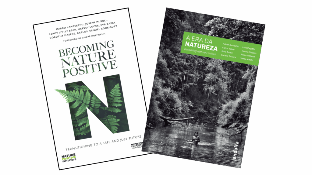 Brazilian edition of the book