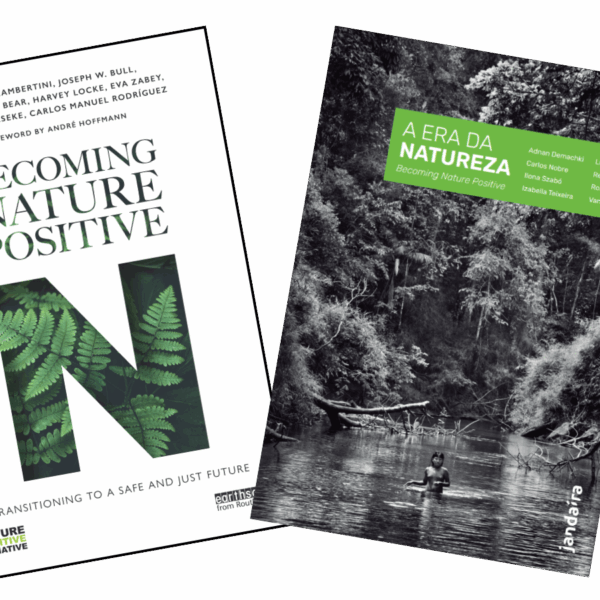 Brazilian edition of the book