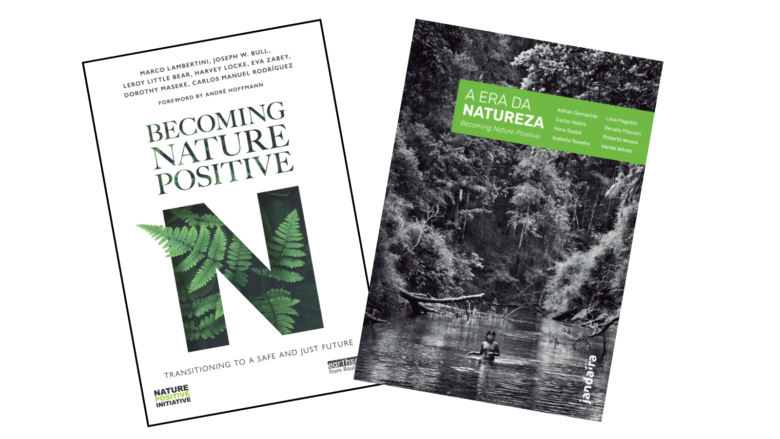 adabat RELAXED IN THE NATURE 3I-SW 10本 R Brazilian-book-4.png