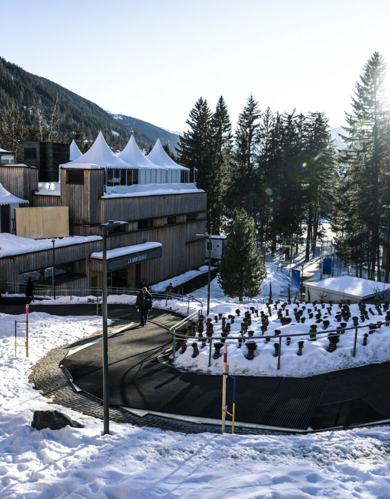 c. World Economic ForumPascal Bitz - Davos2