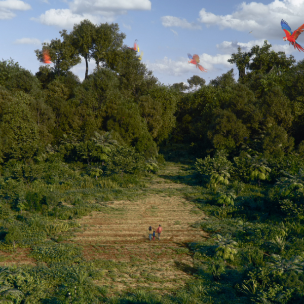 Becoming Nature Positive - the film - signature image