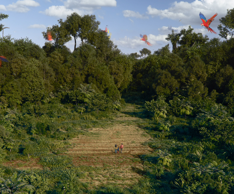 Becoming Nature Positive - the film - signature image