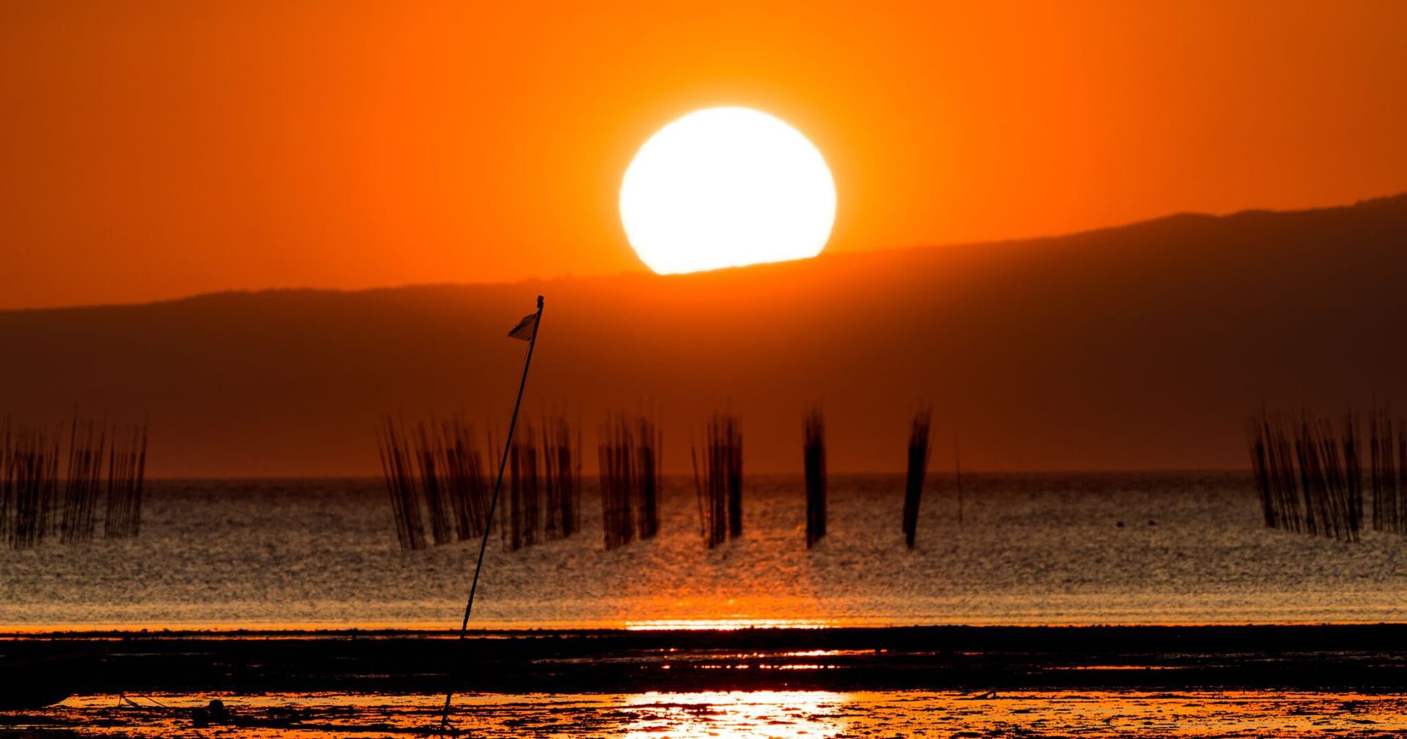 2026 Kumamoto: Global Nature Positive Summit Preview