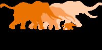 African Wildlife Foundation