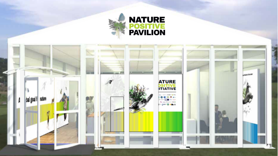 Nature Positive Pavilion COP17
