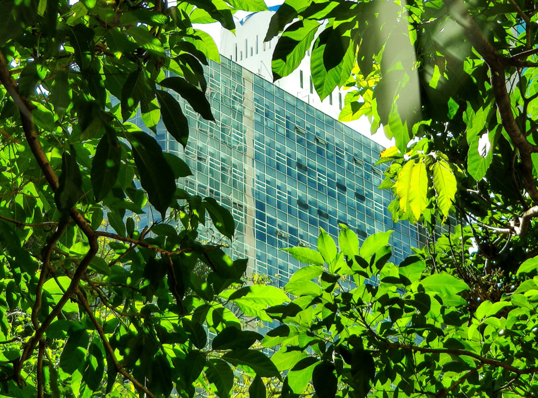 Building with green leaves