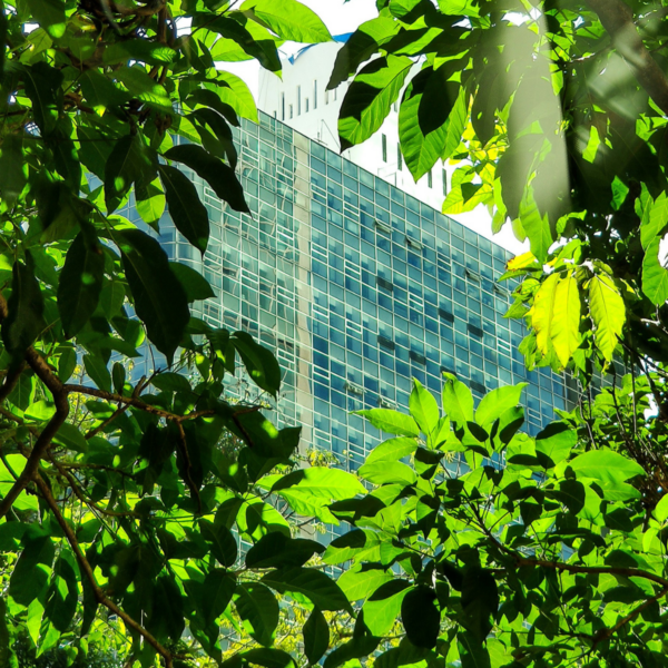 Building with green leaves