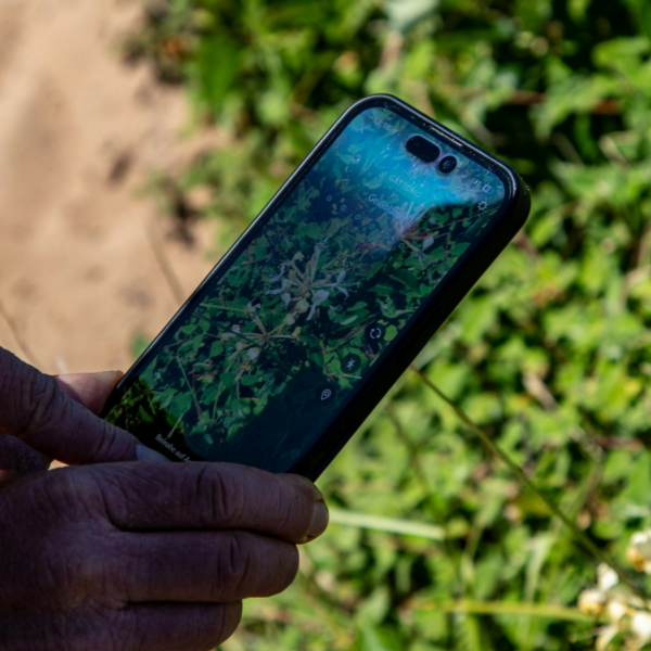 Bernd Dittrich-unsplash-monitoring nature.